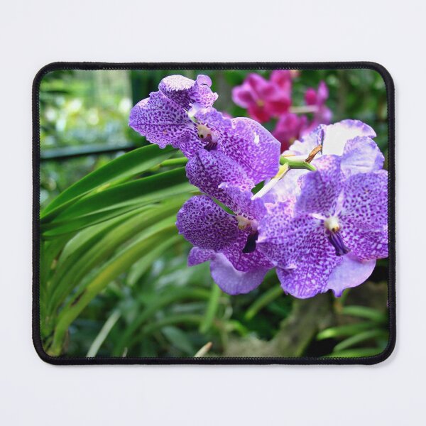 Princess Mikasa Blue Orchid Mouse Pad