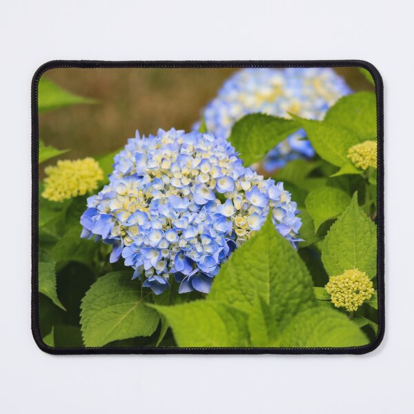 Blue Hydrangea Mouse Pad