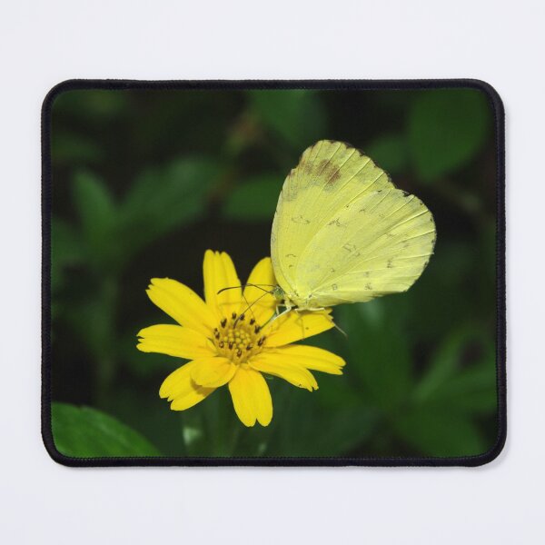 Item preview, Little Yellow Star designed and sold by Rainy.