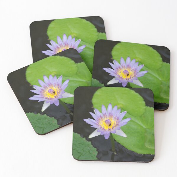 Item preview, Single Water Lily designed and sold by Rainy.