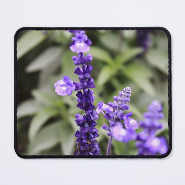 Sage Flowers Mouse Pad