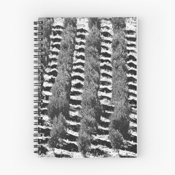 Item preview, Black & White & Olive. designed and sold by Paul Pasco.