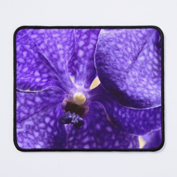 Vanda Orchid Portrait II Mouse Pad