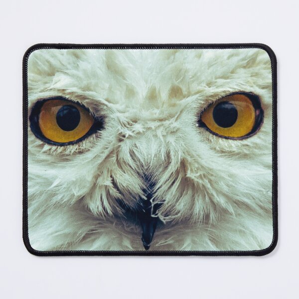 Item preview, Beautiful Eagle Portrait designed and sold by Alpacatata.