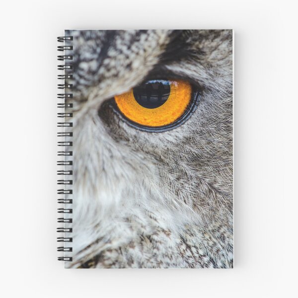 Item preview, One Eyed Eagle Portrait designed and sold by Alpacatata.