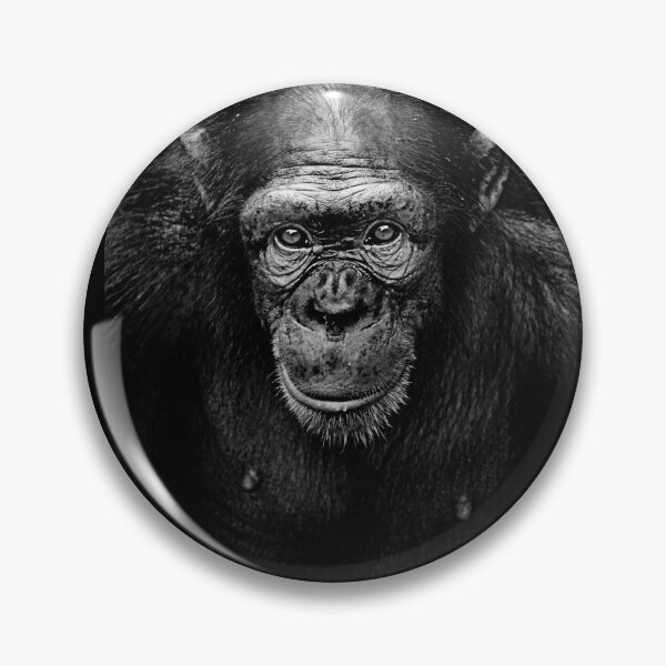 Item preview, Dark Gorilla Portrait designed and sold by Alpacatata.