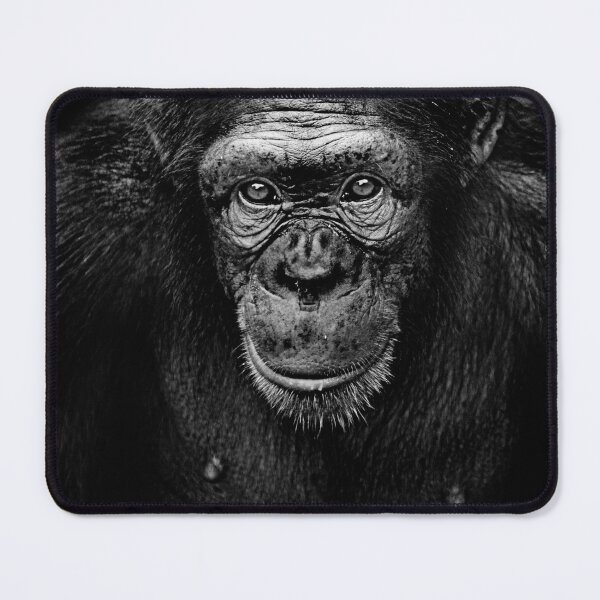 Item preview, Dark Gorilla Portrait designed and sold by Alpacatata.