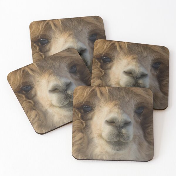 Item preview, Cute Llama Portrait designed and sold by Alpacatata.