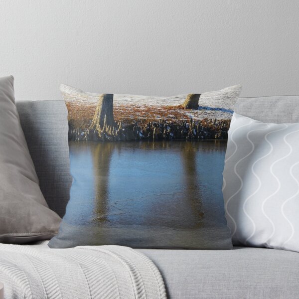 Item preview, Frozen Pond designed and sold by WildestArt.