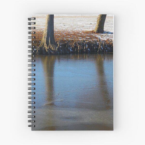 Item preview, Frozen Pond designed and sold by WildestArt.
