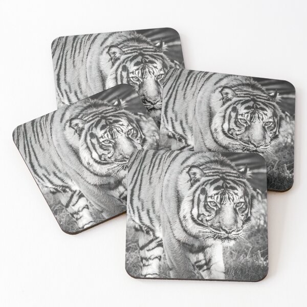Item preview, On the Prowl designed and sold by Peter Hocking.