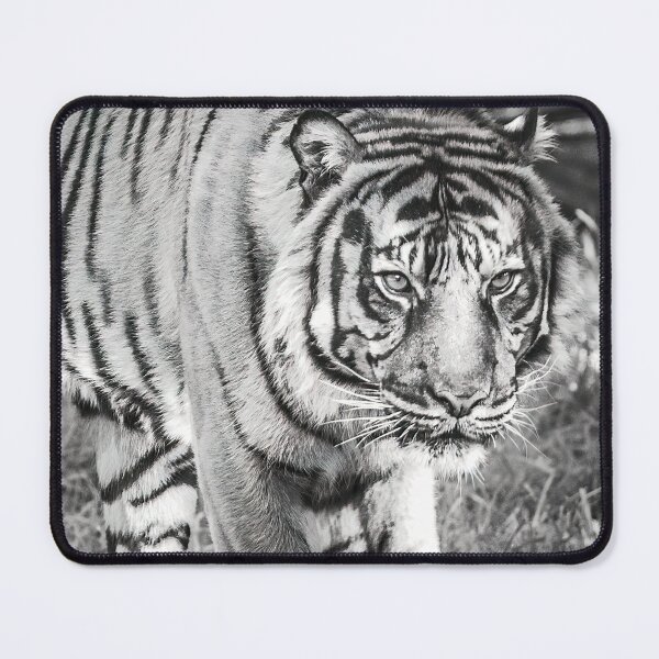 Item preview, On the Prowl designed and sold by Peter Hocking.