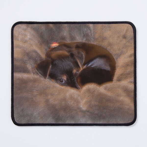 Item preview, Warm and Safe. designed and sold by GingerMan2550.