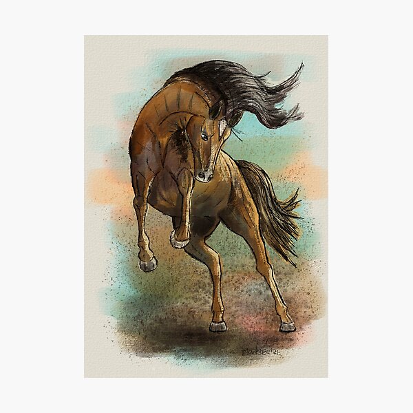 brown horse in a standing pose, black reins, black saddle area - TuckDB  Ephemera