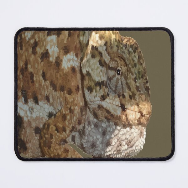 Item preview, Chameleon Hanging On A Wire Fence Vector Cut Out designed and sold by taiche.