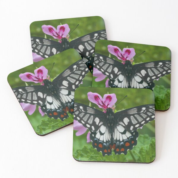 Item preview, Dingy Swallowtail  designed and sold by scar.