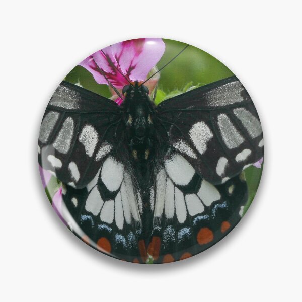 Item preview, Dingy Swallowtail  designed and sold by scar.