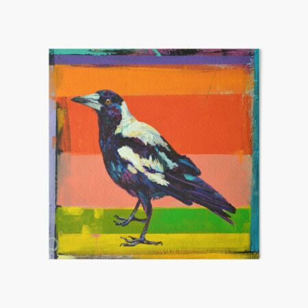 Australian Magpie painting, art print. Art Board Print