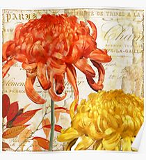 Chrysanthèmes I Poster