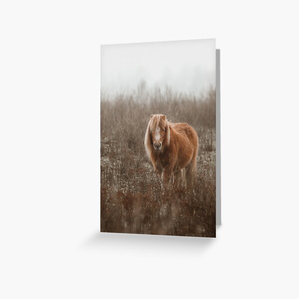 Item preview, Shetland pony  designed and sold by Margriet Verkuijlen.