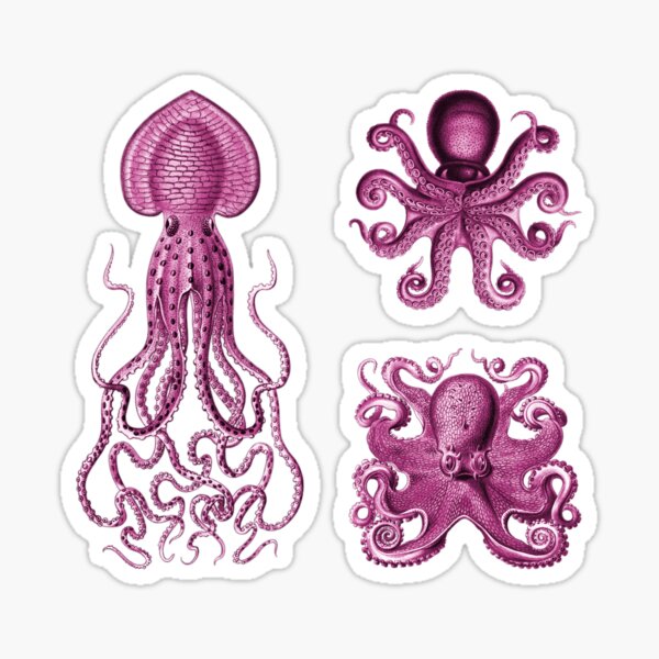 Octopus Squid Kraken Art Tentacles Seashell Deep Sea Ocean Creatures Lover (Pink, Multi Pack Sheet) Sticker