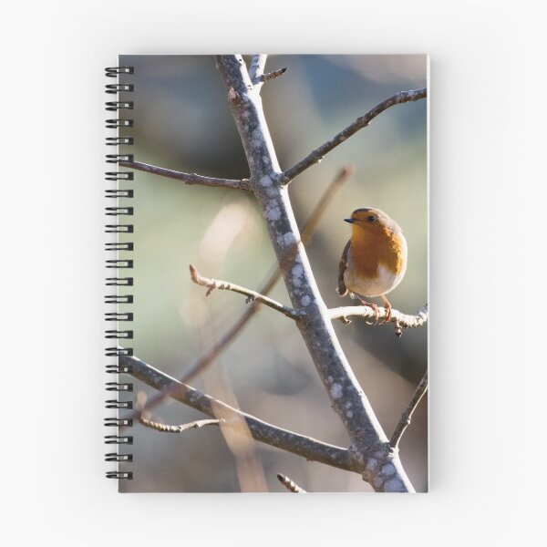 Item preview, Winter Robin designed and sold by PhotoTiphaine.