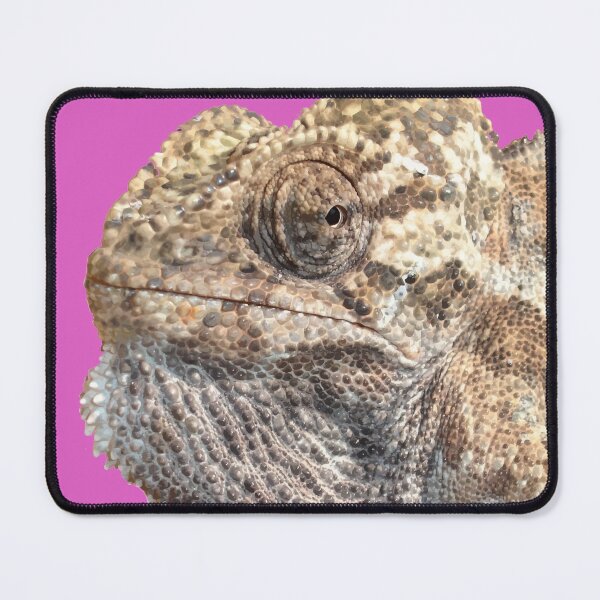 Item preview, Chameleon With Sinister Facial Expression Vector Art designed and sold by taiche.