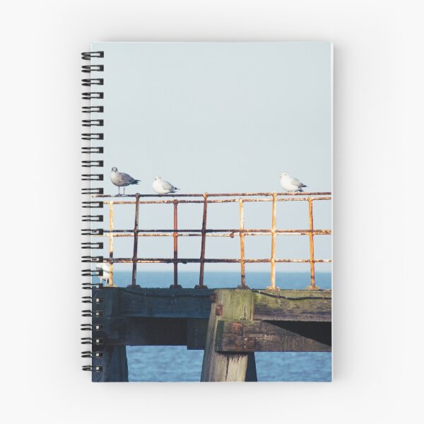 Item preview, Gulls on the pier designed and sold by PhotoTiphaine.