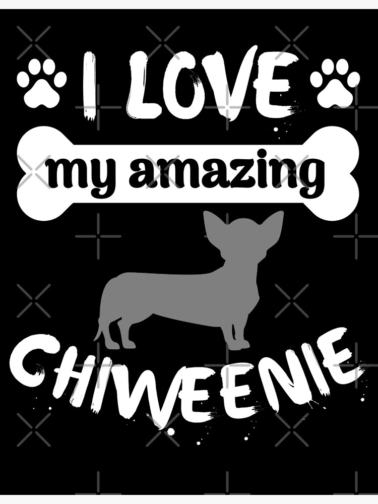 I love sale my chiweenie