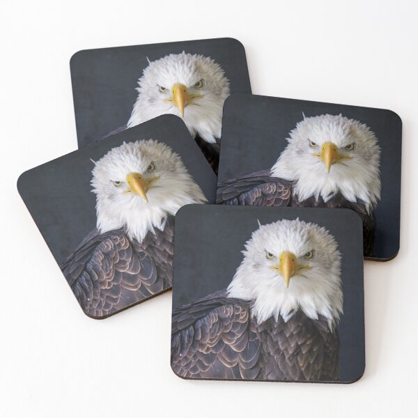 Item preview, Bald Eagle designed and sold by photobytableau.