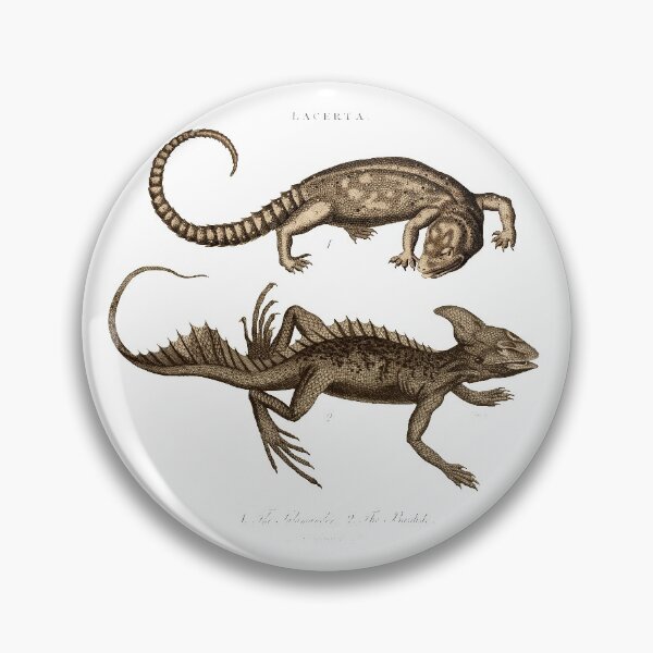 Item preview, Antique Georgian 19th Century Engraving illustration lizard Salamander Basilisk Sepia print designed and sold by CoreImaging.