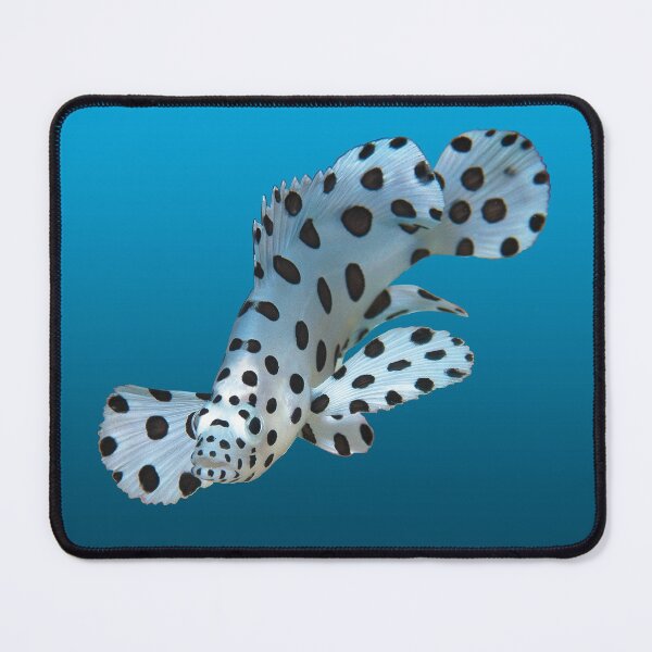 Young grouper | Underwater design on a blue gradient background | Mouse Pad