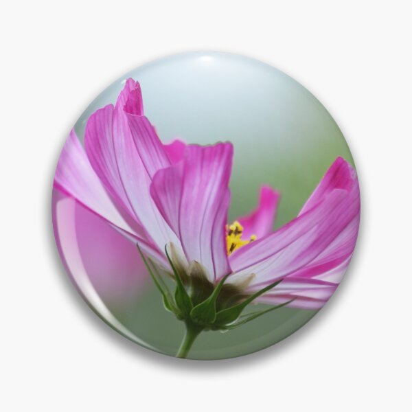 Item preview, Cosmos Flower Close up Photograph designed and sold by Esther Hutchcroft.