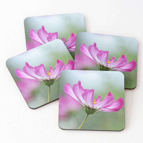 Item preview, Cosmos Flower Close up Photograph designed and sold by Esther Hutchcroft.