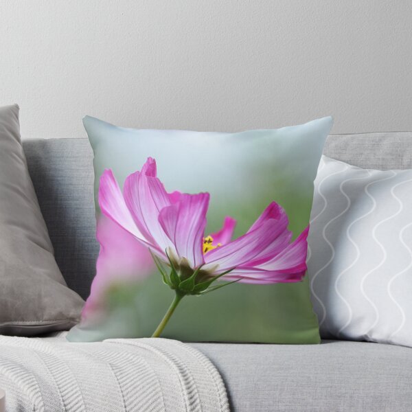 Item preview, Cosmos Flower Close up Photograph designed and sold by Esther Hutchcroft.