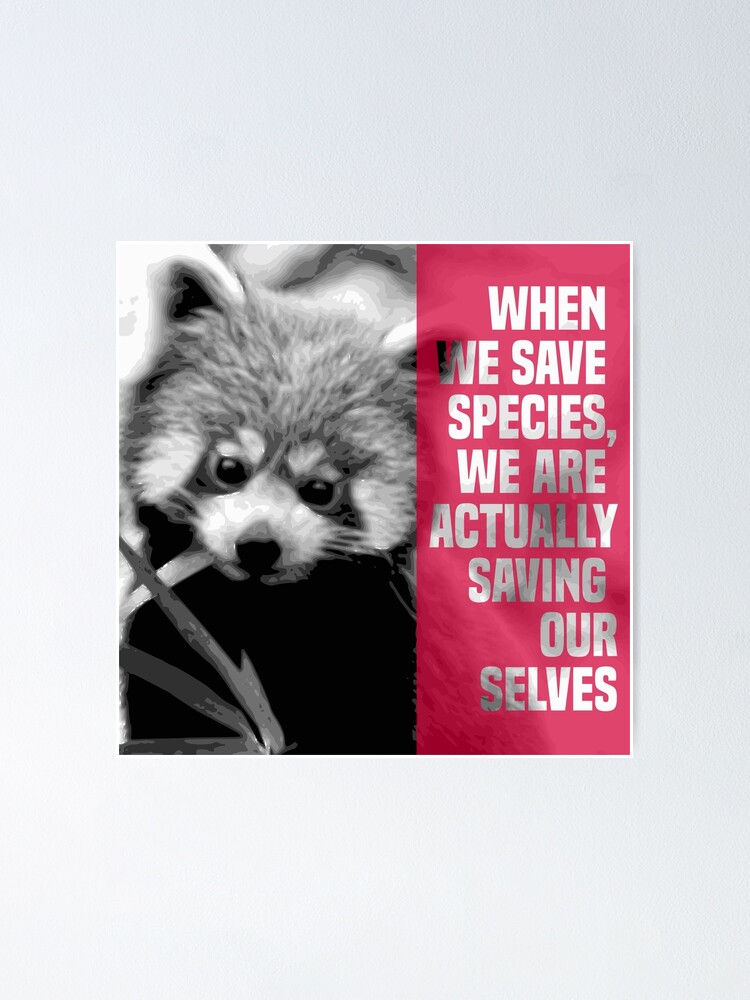 Save The Pandas Cute Animal Environmentalist T-Shirt