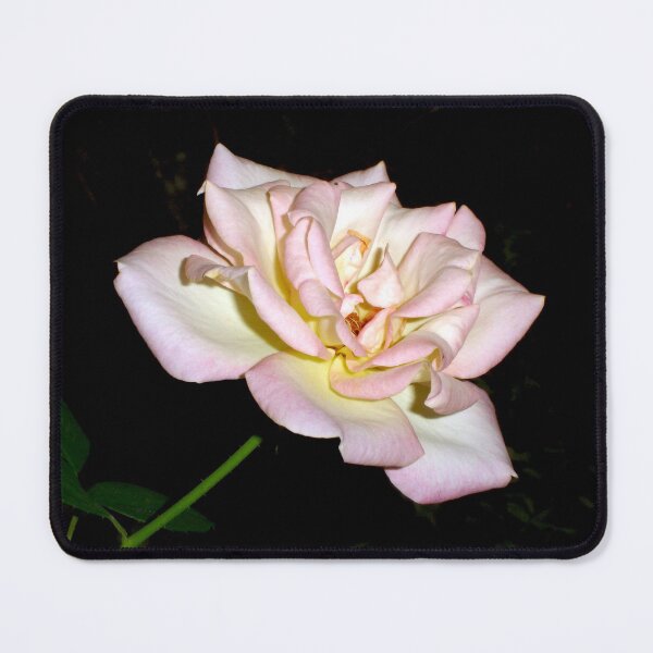 Item preview, Single Rose designed and sold by Rainy.
