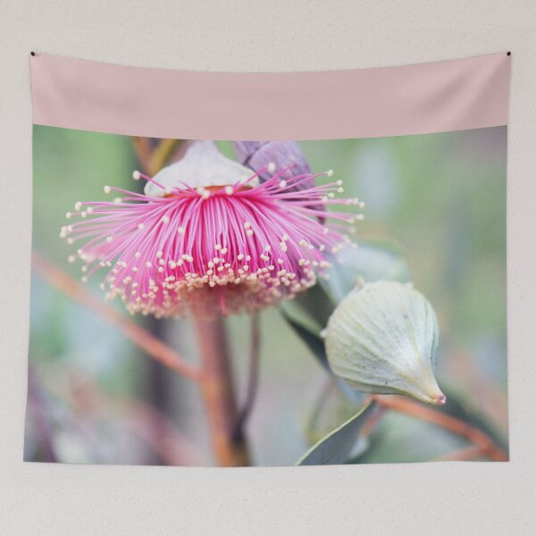 Item preview, Gumnut Flower - Pear Fruited Mallee designed and sold by imaginethis.