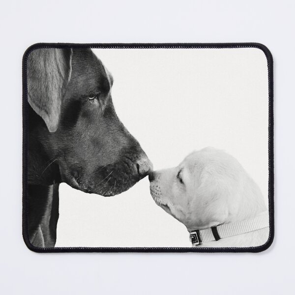 Item preview, Lab Dogs Looking at Each Other designed and sold by kristiclaud.