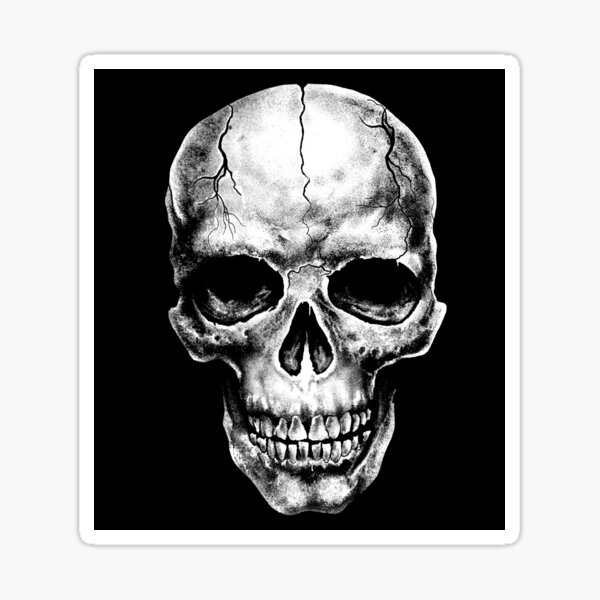 Skull Sticker