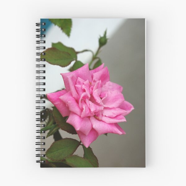 Item preview, Pink Rose Blossom designed and sold by Rainy.