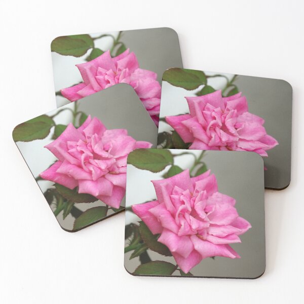Item preview, Pink Rose Blossom designed and sold by Rainy.