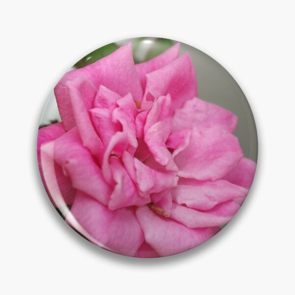 Item preview, Pink Rose Blossom designed and sold by Rainy.
