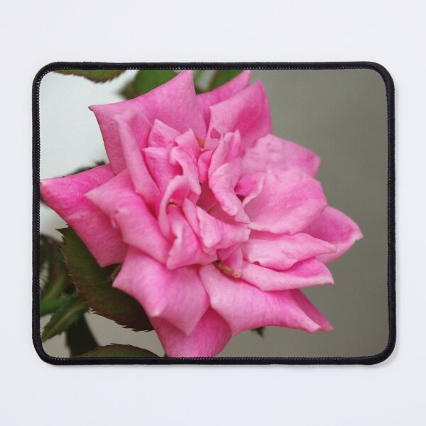 Item preview, Pink Rose Blossom designed and sold by Rainy.