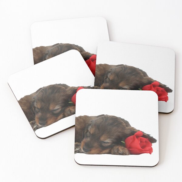 Item preview, English Cockapoo Puppy Sleeping with a Red Rose, Valentine's designed and sold by ScienceSource.