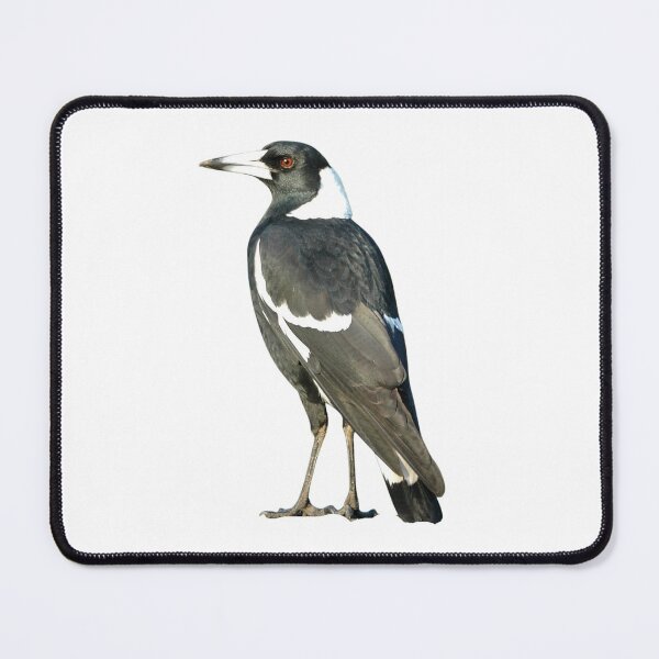 Item preview, MAGPIE - Australian Magpie Bird Portrait Aussie Wildlife HD Magpie designed and sold by Go Logo Designs.