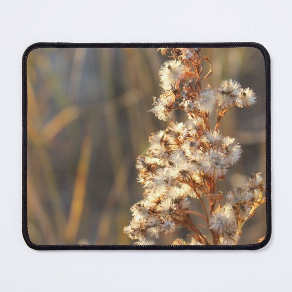 Item preview, Beach Weeds designed and sold by Linda Sannuti.