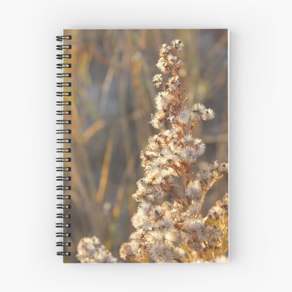 Item preview, Beach Weeds designed and sold by Linda Sannuti.