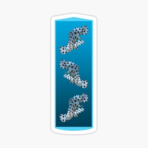 Junger Zackenbarsch | Unterwasser Design auf blau verlaufendem Hintergrund | Sticker