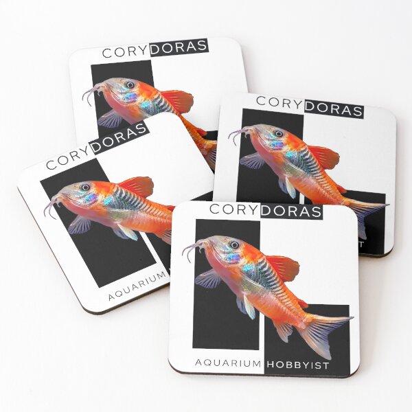 Item preview, Orange Venezuelan Corydoras designed and sold by GFishy.